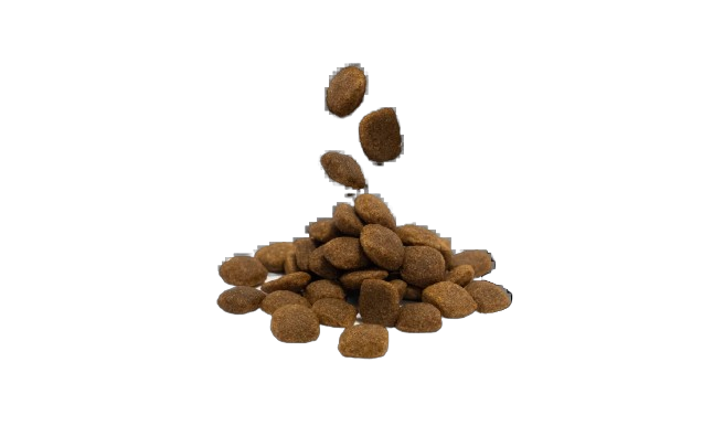 ADULTE 1KG